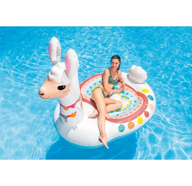 57294 Inuse1 2020 300