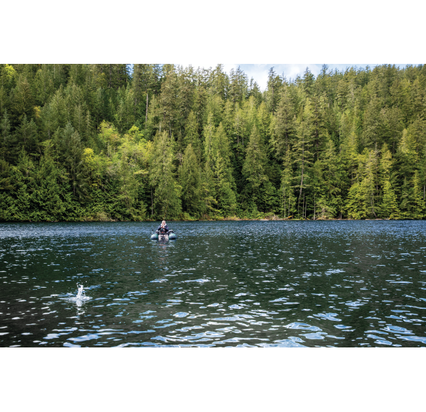 68381 Ls Cf3i1455 05062024 V1 R2 4500x3000 E528709