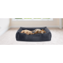 Pet Bed Mock Up 1 4500x3000 Fa103c3 2769x1197 71adbbd