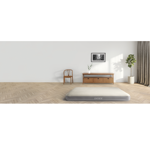 Standard Intro Adobestock 313748908 V1 R6
